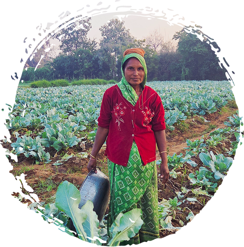 FARM TO KITCHEN 99% farm fresh